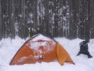 Kyle Pickering and Bobby McDowell walking across Canada Kyle Pickering and Bobby McDowell walking across Canada